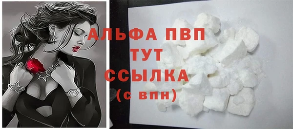 PSILOCYBIN Верхний Тагил