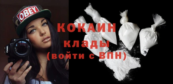Альфа ПВП Верея