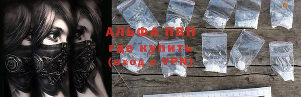 PSILOCYBIN Верхний Тагил