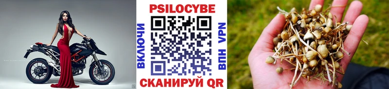 Купить закладки  Солигалич  Псилоцибиновые грибы ЛСД 